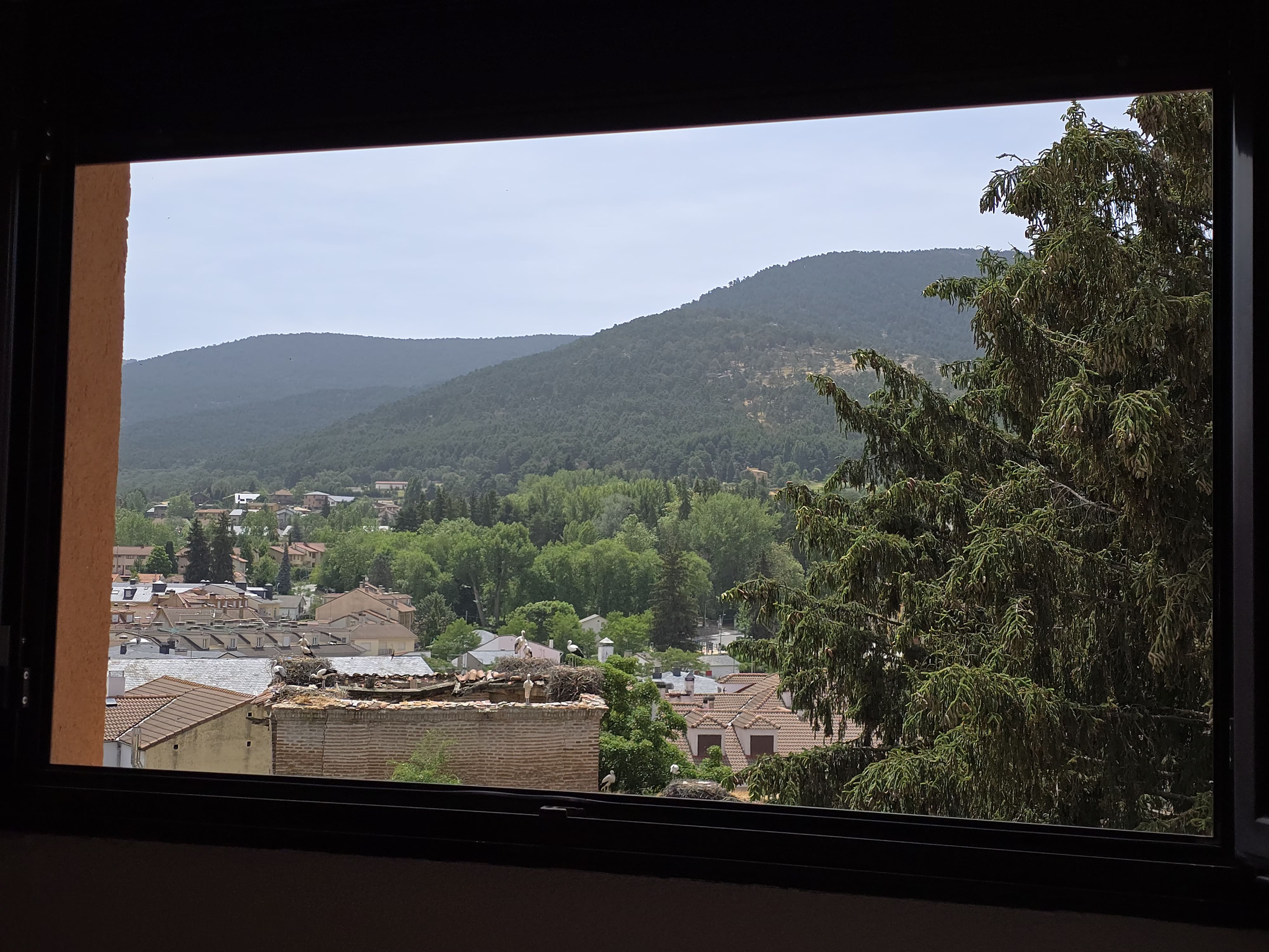 Armario, radiador y TV en habitación doble económica con vistas